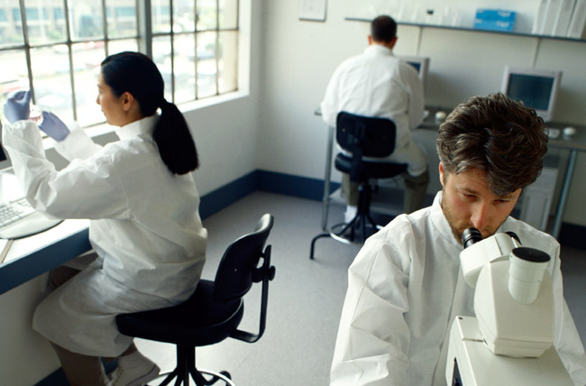 Researchers in lab